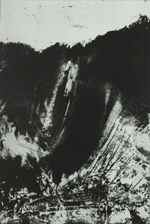 Wildes Land 2, Aquatintaradierung, 100 x 66 cm, Aufl. 7, 2011, Preis n. Absprache